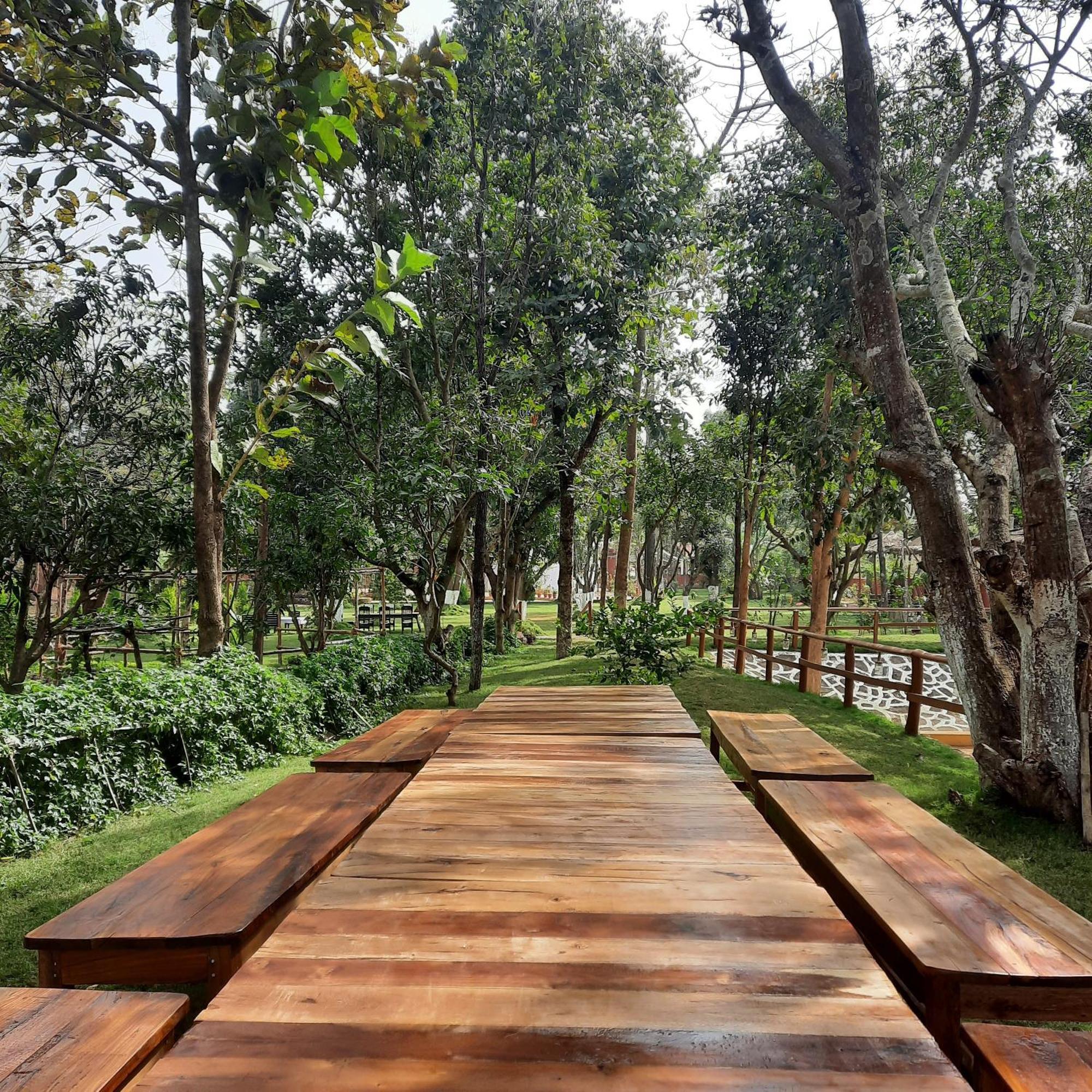 Bastar Greens Eco Stays Jagdalpur Экстерьер фото